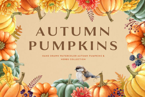 Autumn Pumpkins Watercolor Set Illustrations
