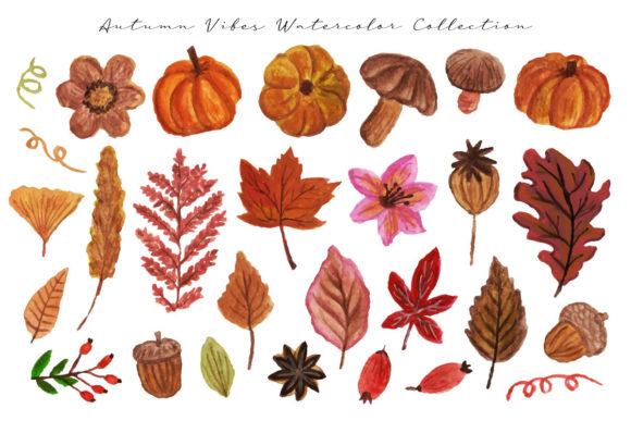 Autumn Vibe Watercolor Collection and Illustrations