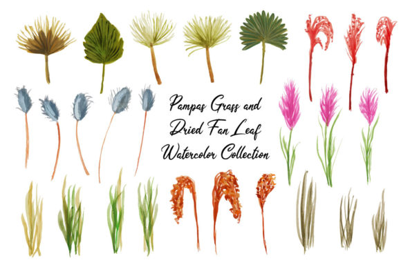 Boho Pampas Dried Fan Leaf Watercolor Illustrations