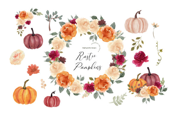 Burnt Orange Pumpkin Watercolor Clipart and Illustrations