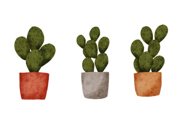 Cactus Watercolor Pot Paint Element Illustrations