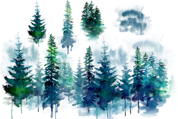 Forest Watercolor Woods Pine Tree Illustrations
