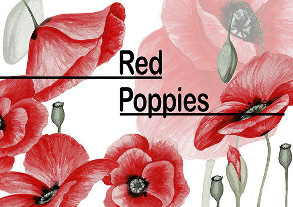 Red Poppies Watercolor Collection and Illustrations