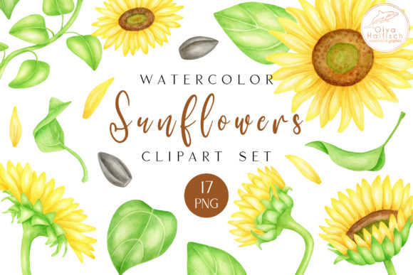 Sunflower PNG Watercolor Clipart Set for Illustrations