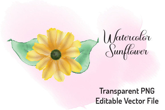 Sunflower Watercolor Clipart 2 Illustrations