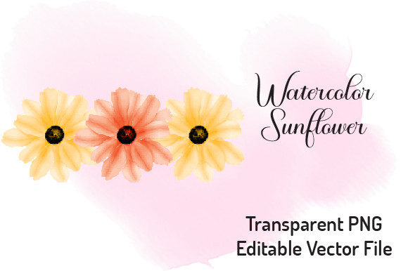 Sunflower Watercolor Clipart 4 & Illustrations