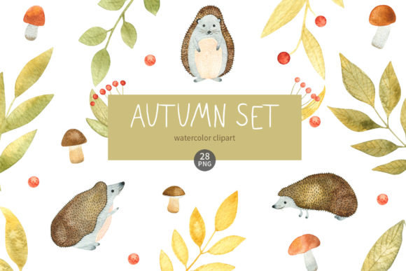 Watercolor Autumn: Premium Illustrations for Fall Sales