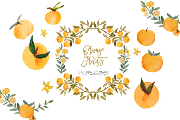 Watercolor Citrus Orange Fruits Clipart and Illustrations