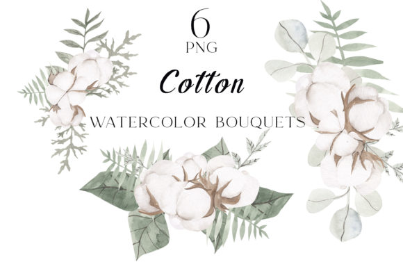 Watercolor Cotton Clipart Png Bouquet and Illustrations