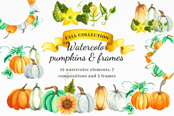 Watercolor Fall Collection Pumpkins and Illustrations