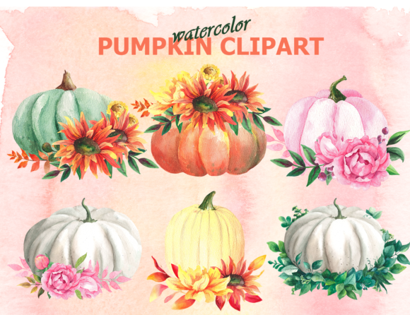 Watercolor Fall Floral Pumpkin Clipart and Illustrations