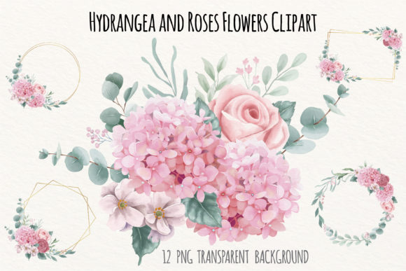 Watercolor Hydrangea and Roses Flowers Illustrations