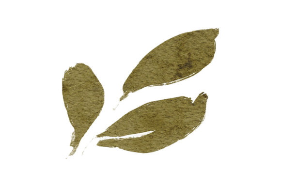 Watercolor Leaf Foliage Element Paint