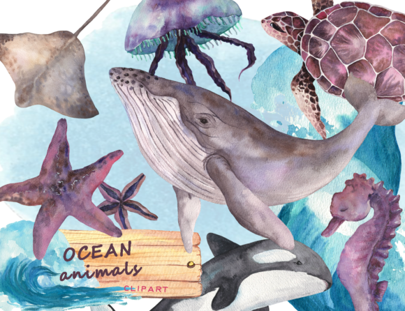 Watercolor Ocean Animals Clipart: Illustrations for Brands