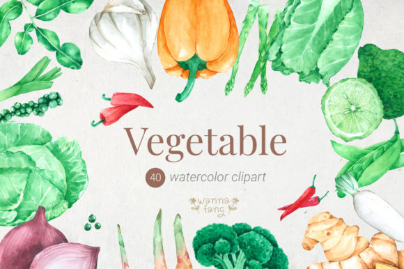 Watercolor Vegetable Clipart, Tomato, Illustrations