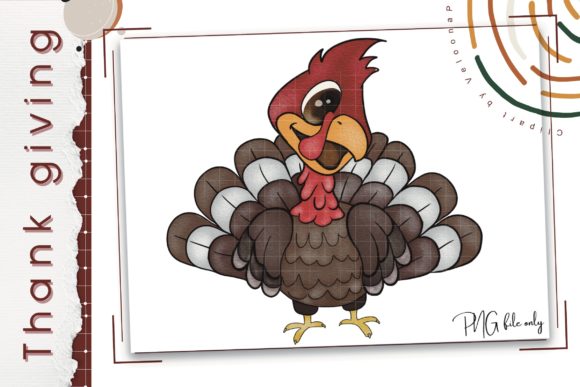 Watercolour Thanksgiving Turkey Illustrations